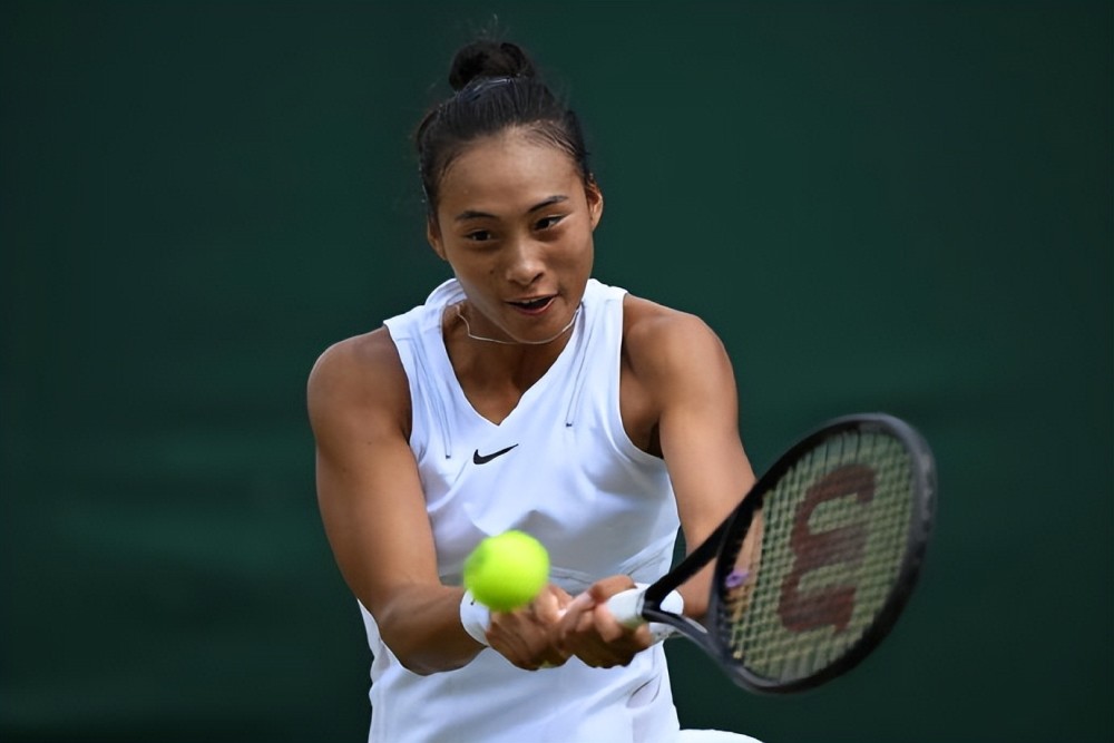  莱巴金娜温网次轮出局，种子选手遭遇滑铁卢