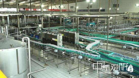  电竞规则持续优化，公平竞赛环境获赞